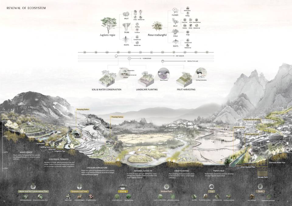 作品王漪雯 Yvonne (4)