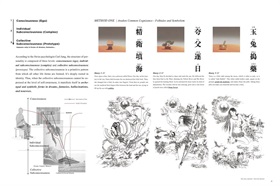 作品张世奇 Shiki (5)