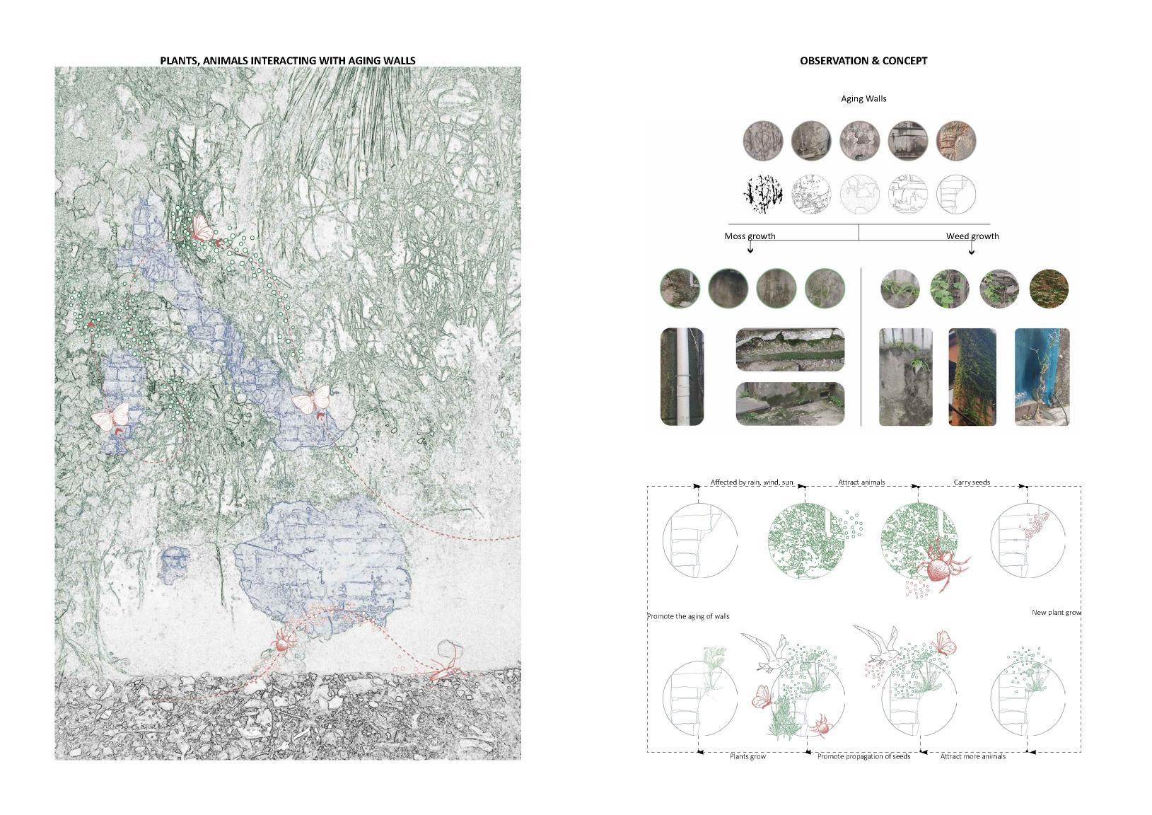 作品张颖 Ying (5)