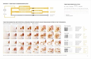作品李玥莹 Orange (4)