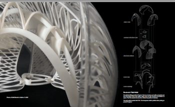 作品郑子非 Hazel (5)